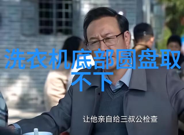 从奴隶到自由人解读哈珀李的跨越