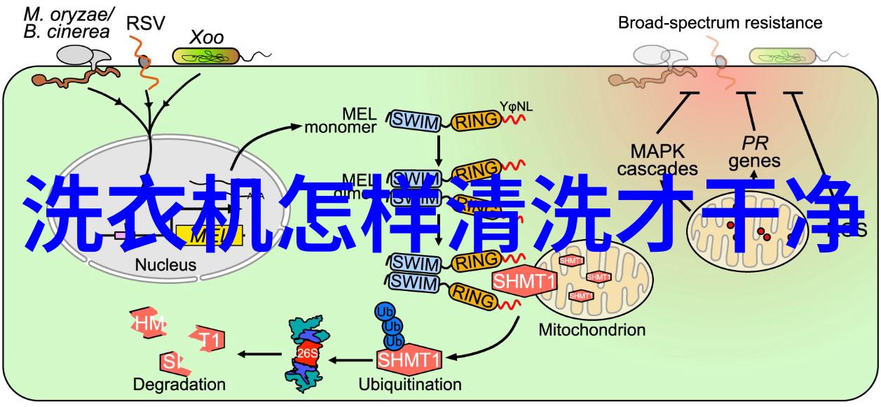 黑皮辣妹变身记与朋友的无增删翻译日常