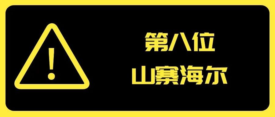 2020年度山寨厨卫电器品牌20强发布_9