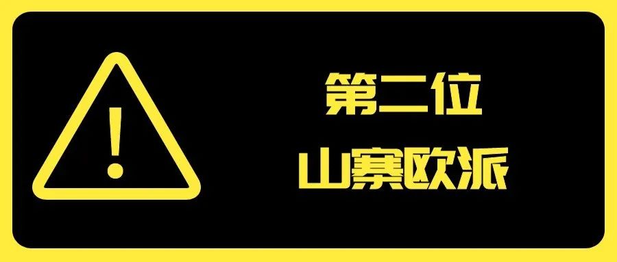 2020年度山寨厨卫电器品牌20强发布_3