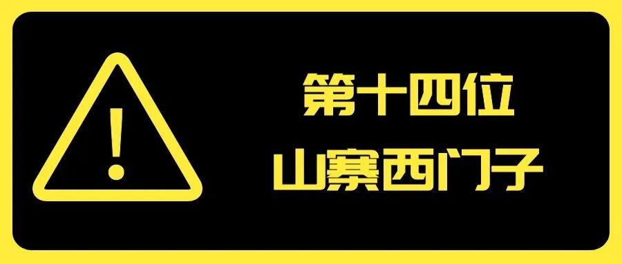 2020年度山寨厨卫电器品牌20强发布_15