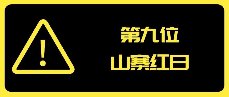 2020年度山寨厨卫电器品牌20强发布_10