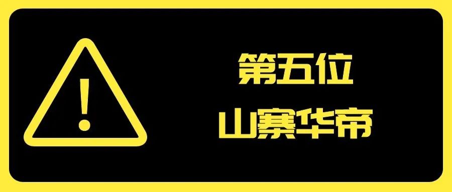 2020年度山寨厨卫电器品牌20强发布_6