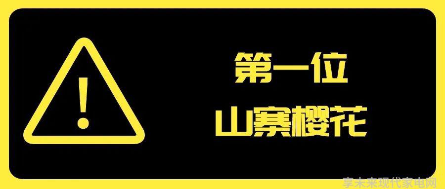 2020年度山寨厨卫电器品牌20强发布_2